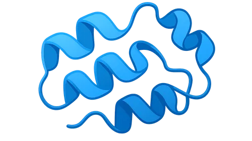 Protein Structure and Function