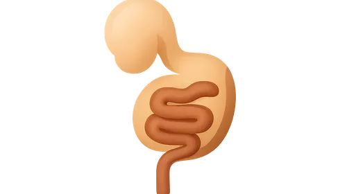 Development of Gastrointestinal System