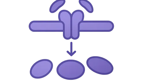 TGF-β/SMAD signaling