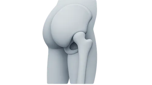 Gluteal Region and Hip