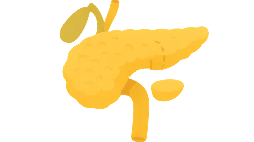 Pancreatic surgery procedures