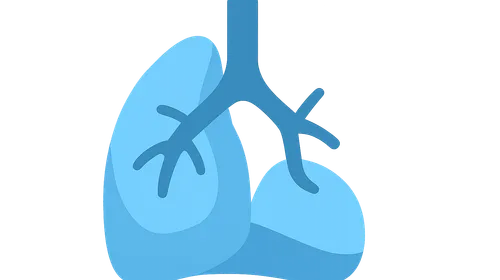 Age-related changes in compliance