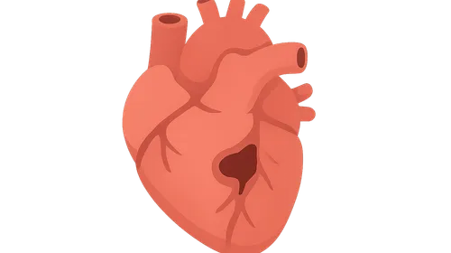 Congenital heart defects requiring surgery