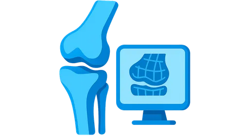 Computational Modeling in Orthopaedics