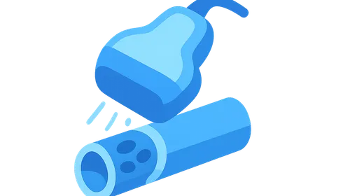 Vascular Ultrasonography