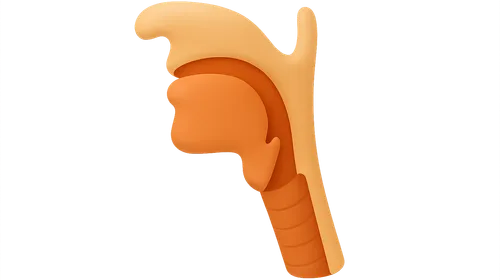 Fourth and sixth pharyngeal arch derivatives