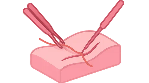 Microsurgical Techniques