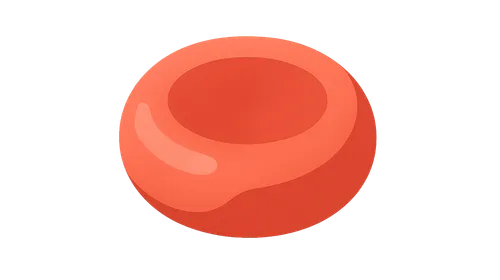 Anemia Evaluation and Management