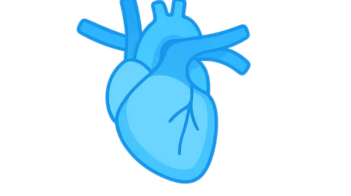 Venous Return and Central Venous Pressure