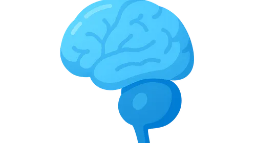 Congenital CNS Anomalies