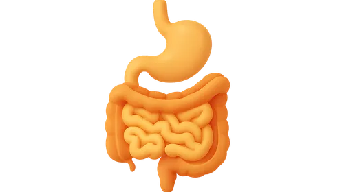 Gastrointestinal hormones