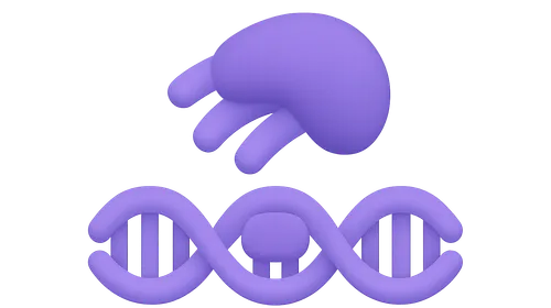 Transcription Factors and Gene Regulation