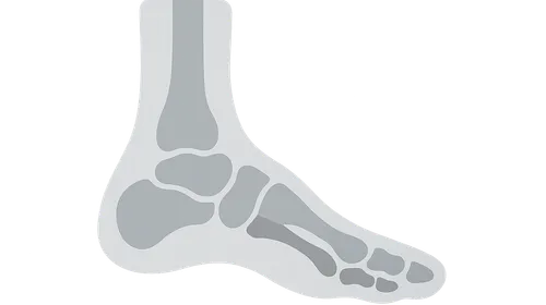 Biomechanics of Foot and Ankle