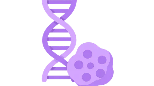 Genetics and inheritance of GSDs