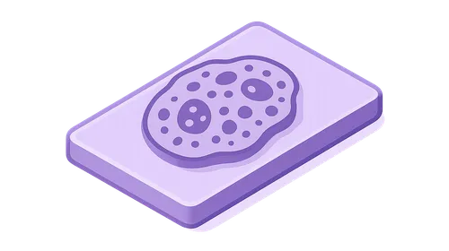 Tissue preparation and staining