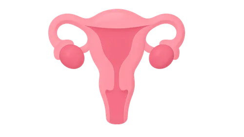 Gonadal hormones (estrogens, progestins)