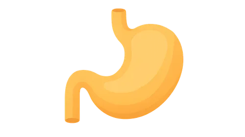 Nutrition and Metabolism