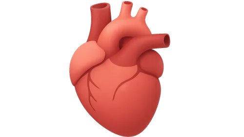 Hypertensive Heart Disease