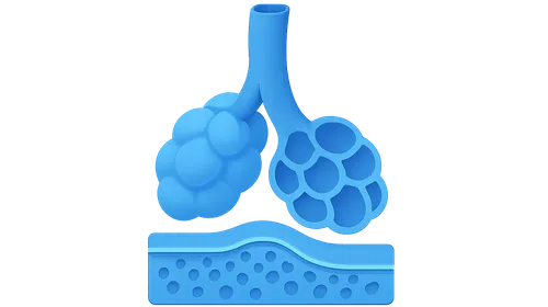 Respiratory system histology