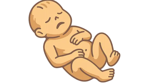 Examination of Infant Remains