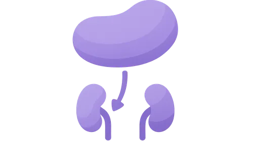 Growth Hormone and Growth Factors