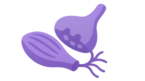 Neuromuscular Blocking Agents