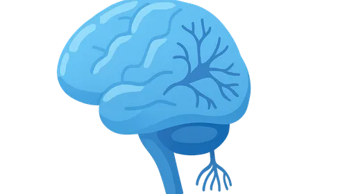 Amyotrophic lateral sclerosis