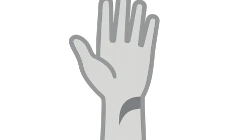 Applied Anatomy and Clinical Correlations