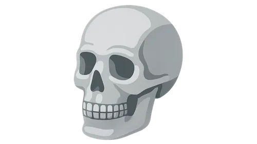 Radiographic Anatomy of Skull and Face