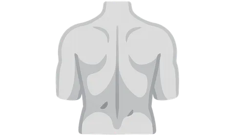 Back surface landmarks