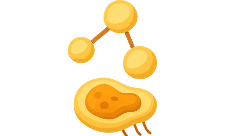Homocystinuria and methionine metabolism disorders