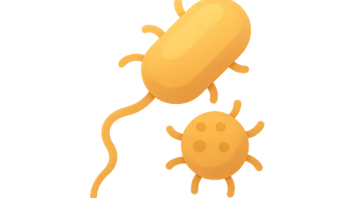 Exotoxins and endotoxins