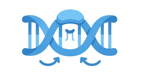 Nucleotide excision repair