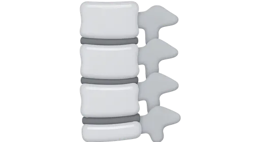 Radiographic Anatomy of Spine