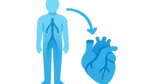 Orthostatic changes in hemodynamics
