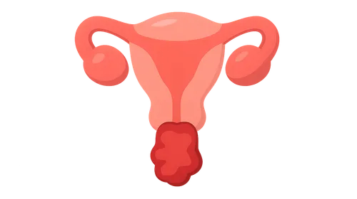 Postpartum hemorrhage protocols