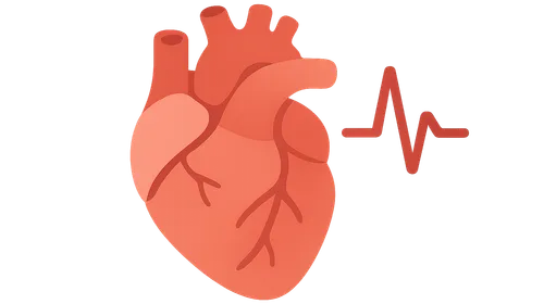 Effects of heart rate on cardiac cycle