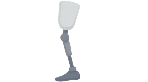 Biomechanics of Prostheses