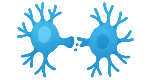 Cell-to-Cell Communication