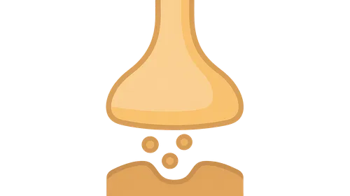 Cholinergic/Adrenergic drugs