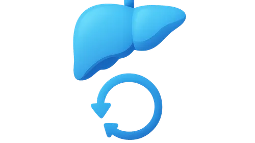 Overview and purpose of urea cycle
