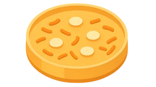 Antimicrobial Susceptibility Testing