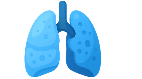Chronic Lung Disease in Premature Infants
