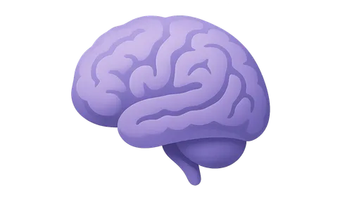 Cerebral Cortex Functions