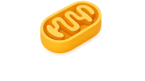 Cellular Energetics and Metabolism