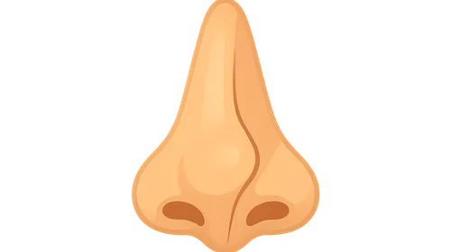 Deviated Nasal Septum
