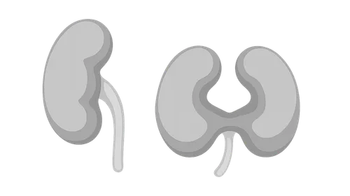 Anatomical Variations and Anomalies