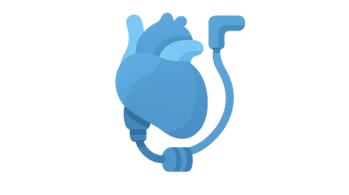 Mechanical circulatory support devices