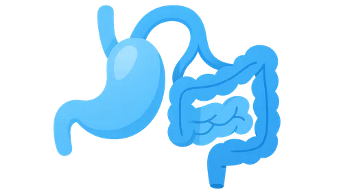 Small bowel transplantation