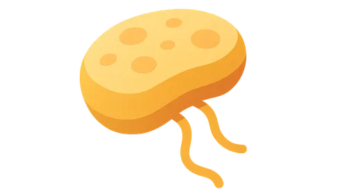 Chlamydia trachomatis